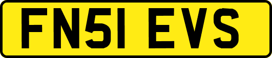 FN51EVS