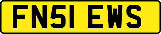 FN51EWS