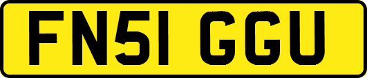 FN51GGU