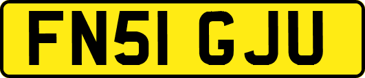 FN51GJU