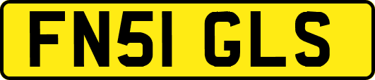 FN51GLS