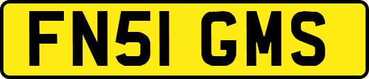 FN51GMS