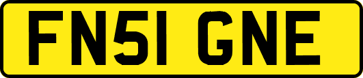 FN51GNE