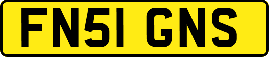 FN51GNS