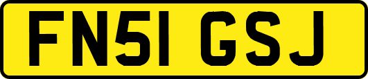 FN51GSJ