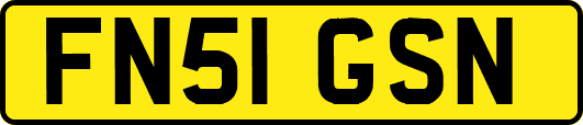 FN51GSN