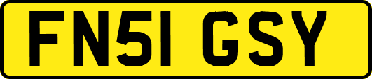 FN51GSY