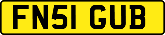 FN51GUB