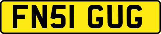 FN51GUG