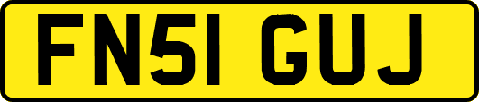 FN51GUJ