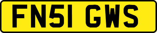 FN51GWS