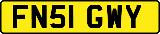 FN51GWY