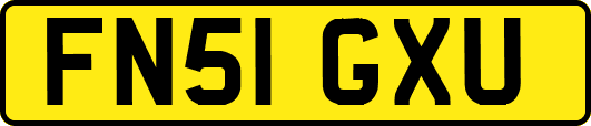 FN51GXU