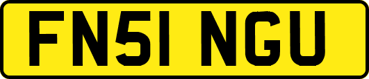 FN51NGU