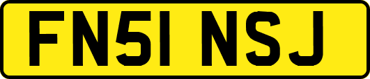 FN51NSJ