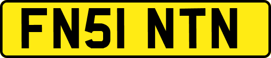 FN51NTN