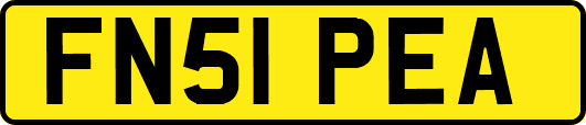 FN51PEA