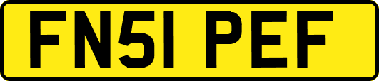 FN51PEF