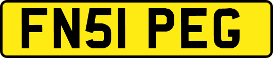 FN51PEG