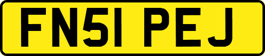 FN51PEJ