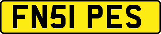 FN51PES