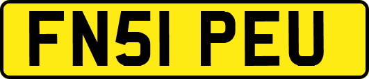 FN51PEU