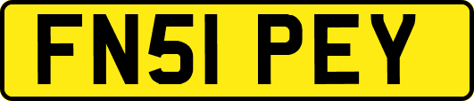 FN51PEY