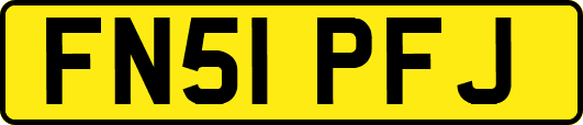 FN51PFJ