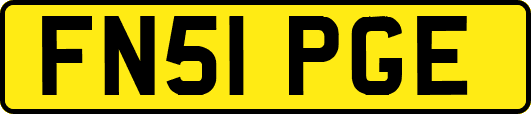 FN51PGE