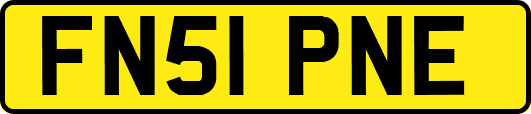 FN51PNE