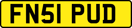 FN51PUD