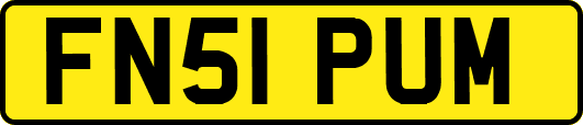 FN51PUM