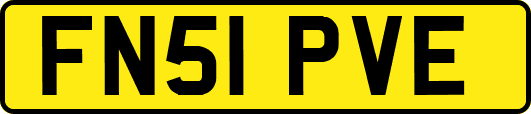 FN51PVE