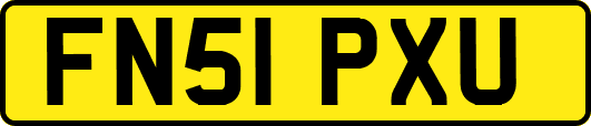 FN51PXU