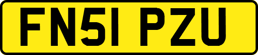 FN51PZU