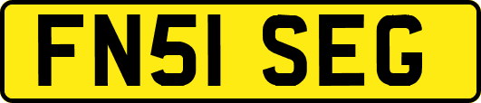 FN51SEG