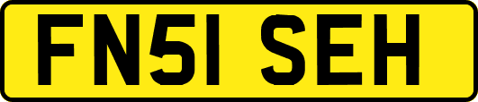 FN51SEH