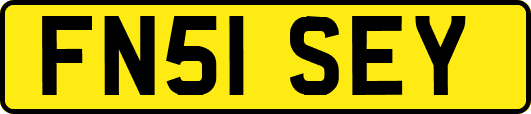 FN51SEY