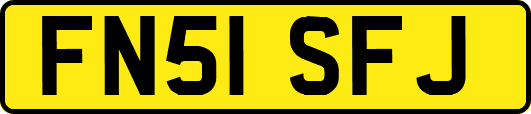 FN51SFJ