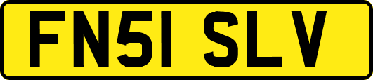 FN51SLV