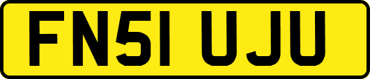 FN51UJU