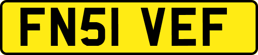 FN51VEF