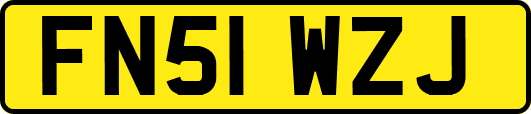 FN51WZJ