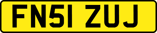 FN51ZUJ