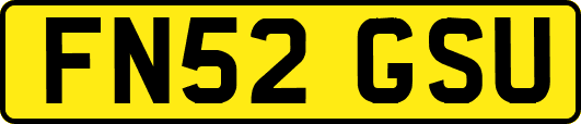 FN52GSU