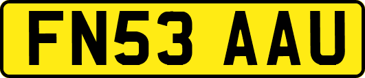 FN53AAU