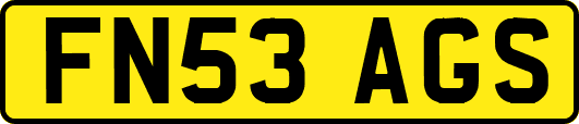 FN53AGS