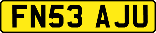 FN53AJU