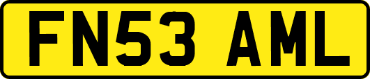 FN53AML