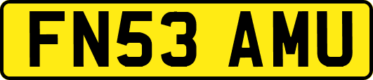 FN53AMU